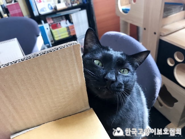 KakaoTalk_20180308_131538621.jpg