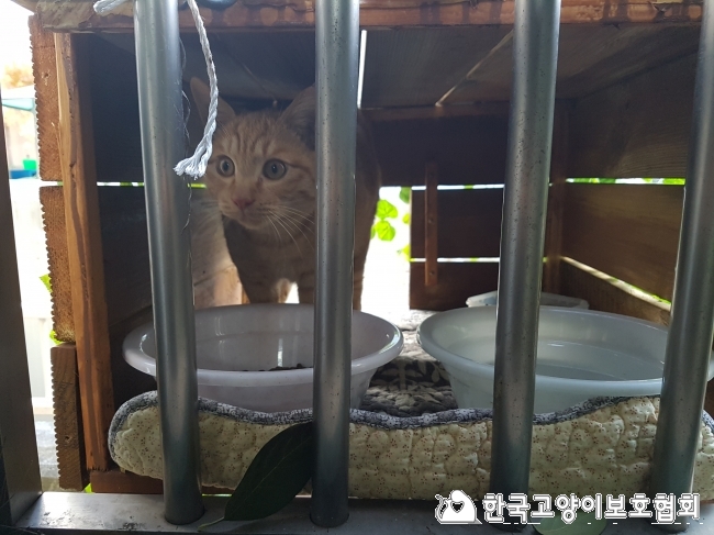 KakaoTalk_20171130_105857378.jpg