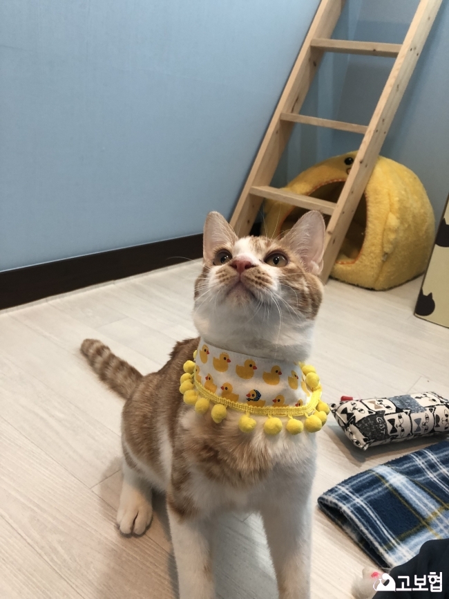 KakaoTalk_20181130_133024814.jpg