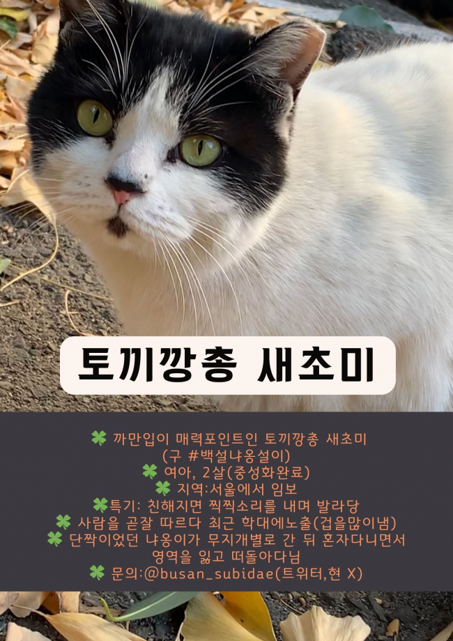 설이.jpg