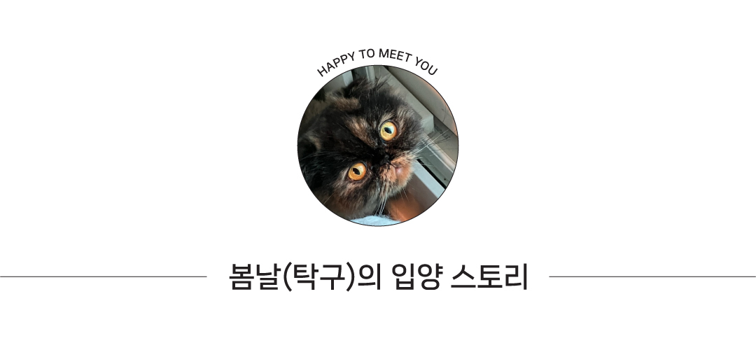 썸네일2.jpg