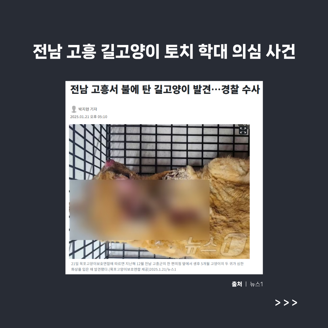 고흥학대2.jpg