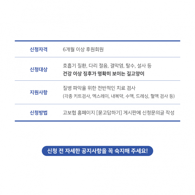 내원냥3.jpg