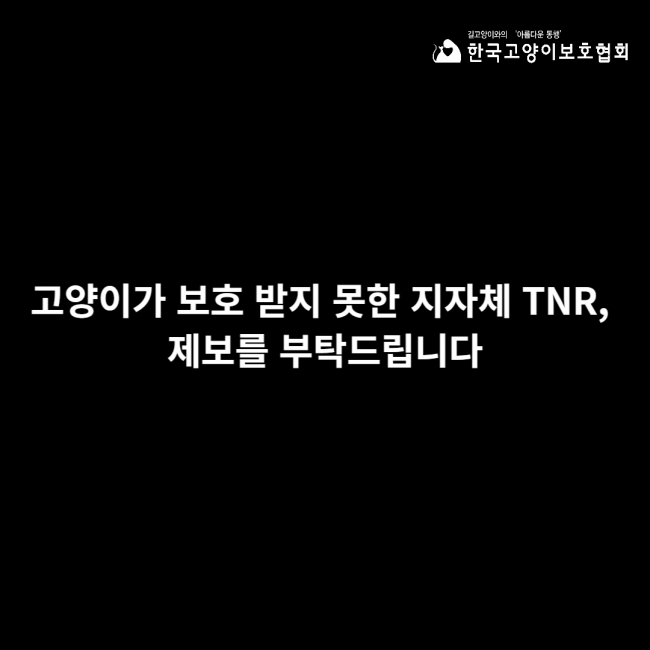 지자체 TNR 제보 요청 메인이미지.jpg