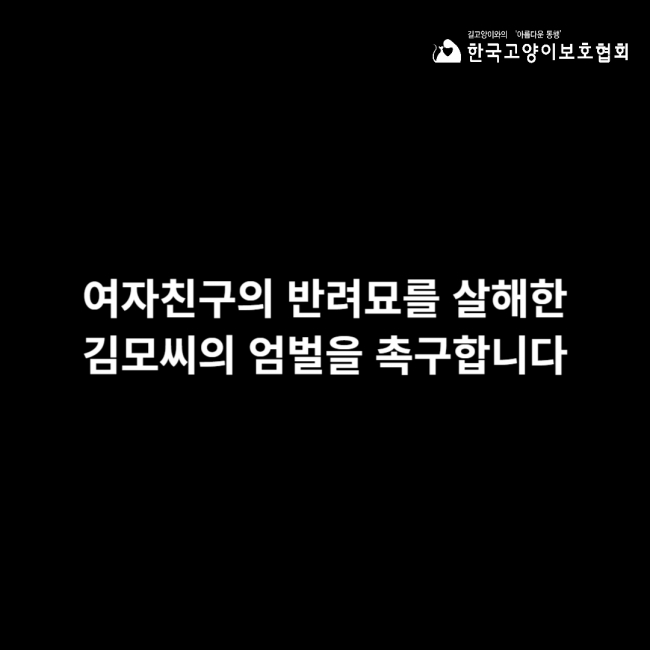 05_여자친구 반려묘 살해 사건.jpg