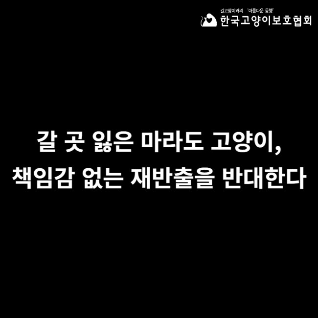 마라도 2차 입장문 메인 이미지.jpg