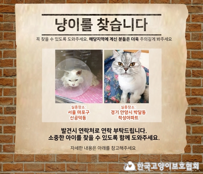 냥이찾기_메인(2월소식지)_수정.jpg