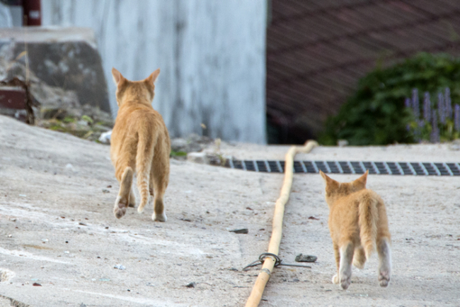 9월-서울 길음동, 2015.jpg