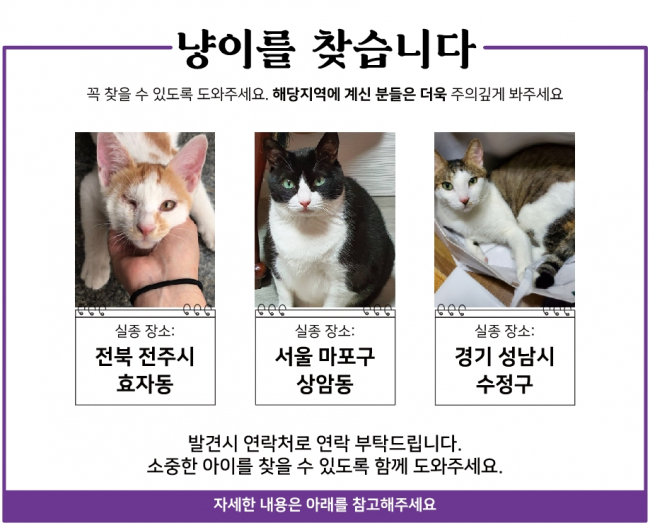 20.12 냥이찾기.jpg