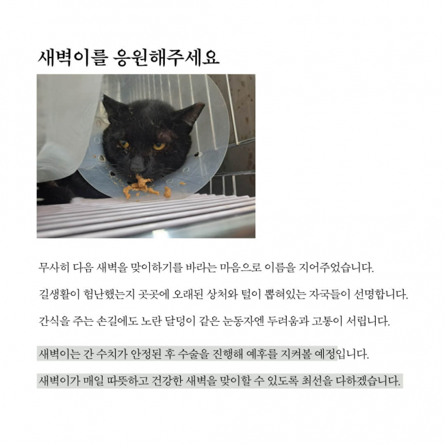 구조소식4.jpg