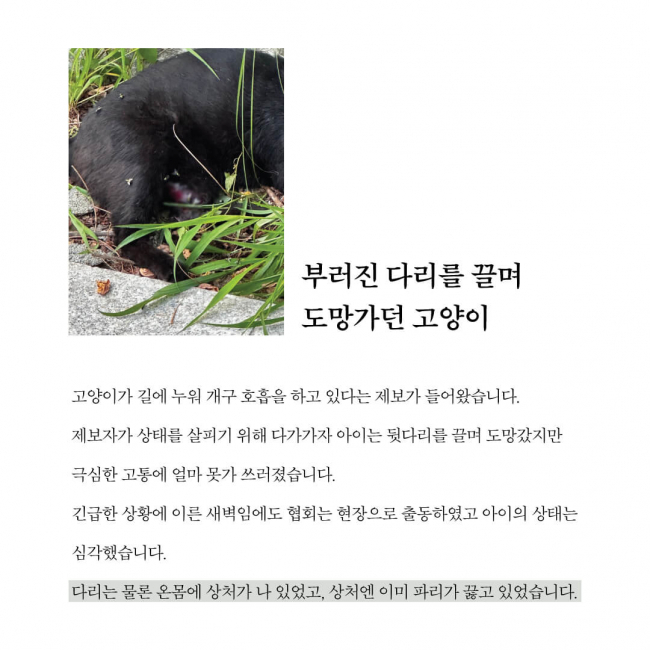 구조소식2.jpg