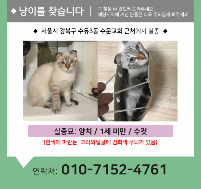 (9월)냥이찾기_세부2.jpg