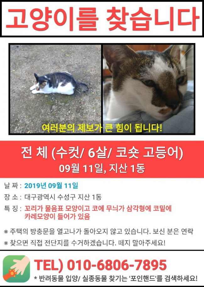 (9월)냥이찾기_세부3-2.jpg