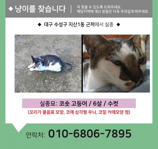 (9월)냥이찾기_세부3.jpg