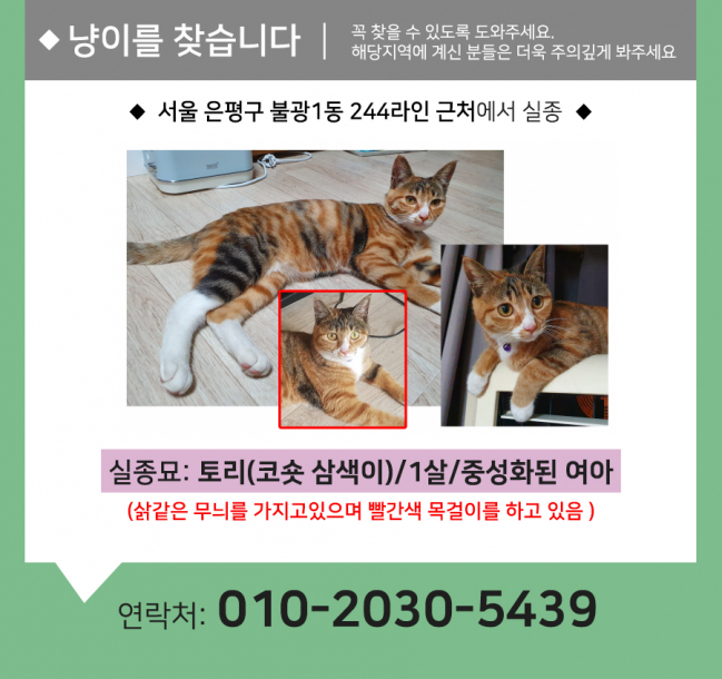 (9월)냥이찾기_세부1.jpg