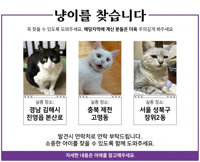 (11월) 냥이찾기_1_1.jpg