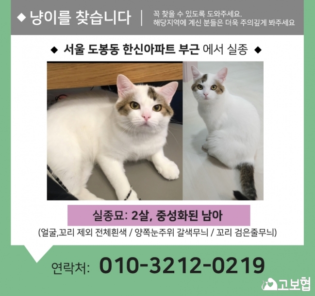 (12월) 냥이4_세부정보1.jpg