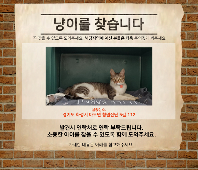 (6월) 냥이찾기_메인.jpg