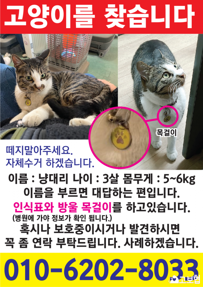 (2월) 냥이2_세부정보1-4.png