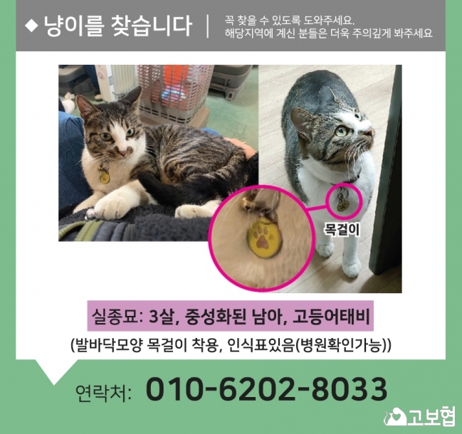 (2월) 냥이2_세부정1.jpg