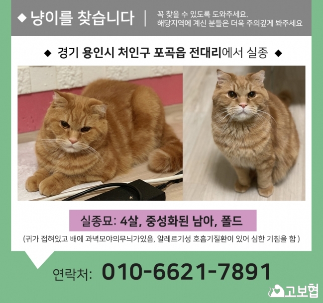 (1월) 냥이1_세부정보1.jpg