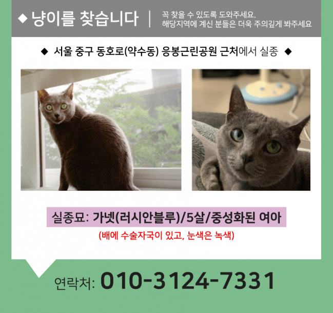 (8월)냥이찾기_세부2.jpg