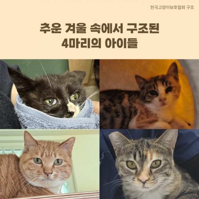 2024.03_소식지_구조.png