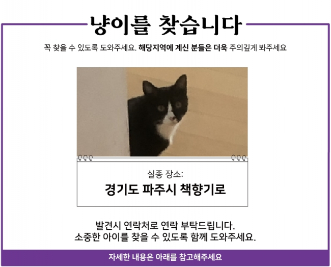 20.04 냥이찾기_1.jpg