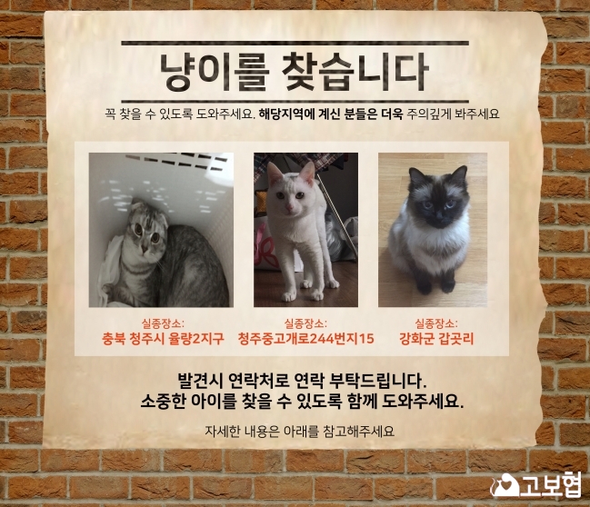 (6월) 냥이찾기_메인.jpg