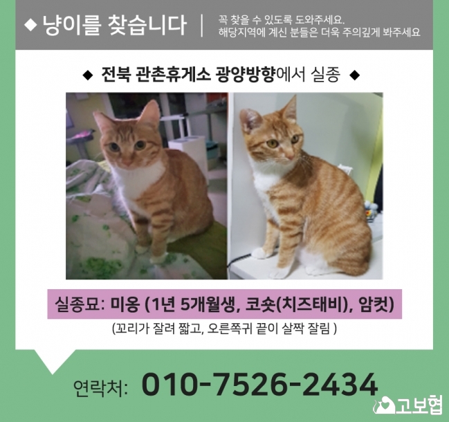 (10월) 냥이찾기1_세부정보2.jpg