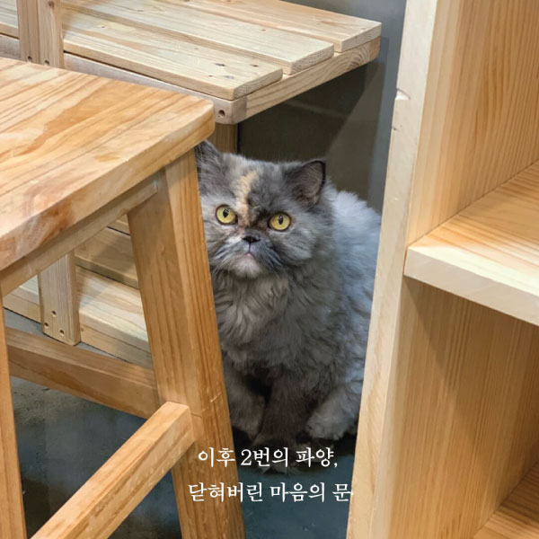 깡통3.jpg