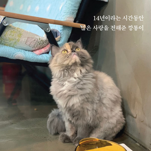 깡통8.jpg