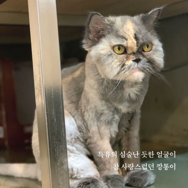 깡통6.jpg