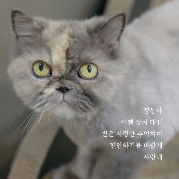 깡통10.jpg