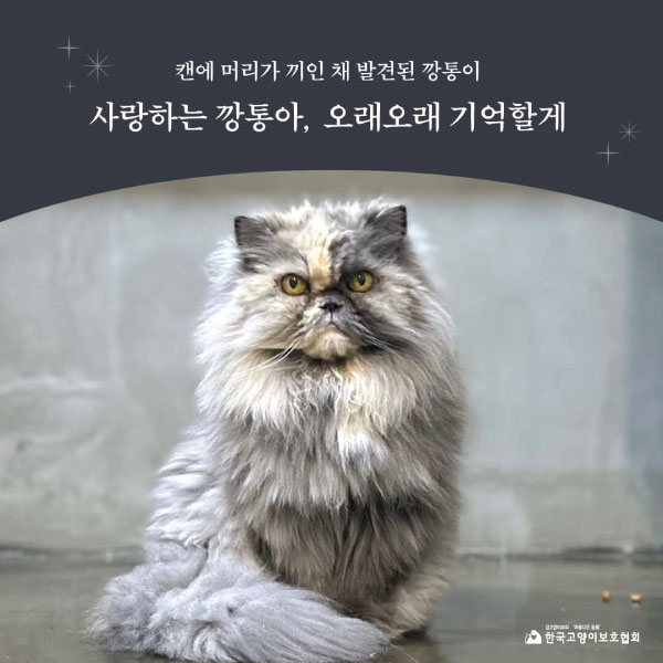 깡통1.jpg