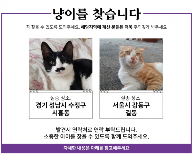 21.01 냥이찾기.jpg