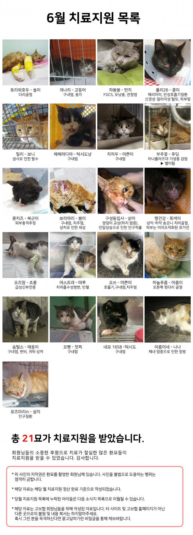 6월 치료지원 목록.jpg