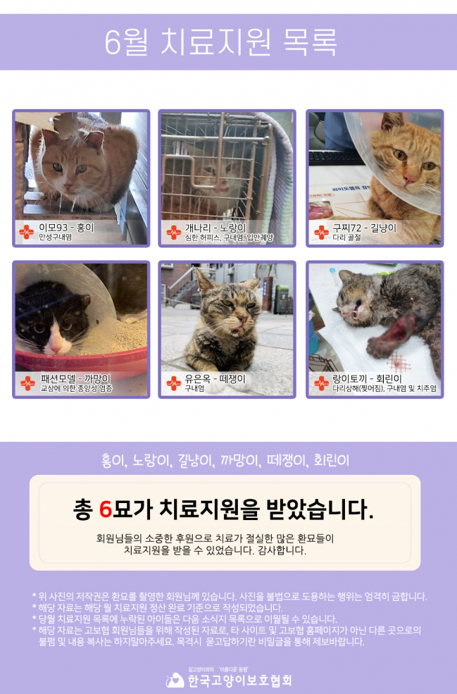 6월 치료지원 목록.jpg