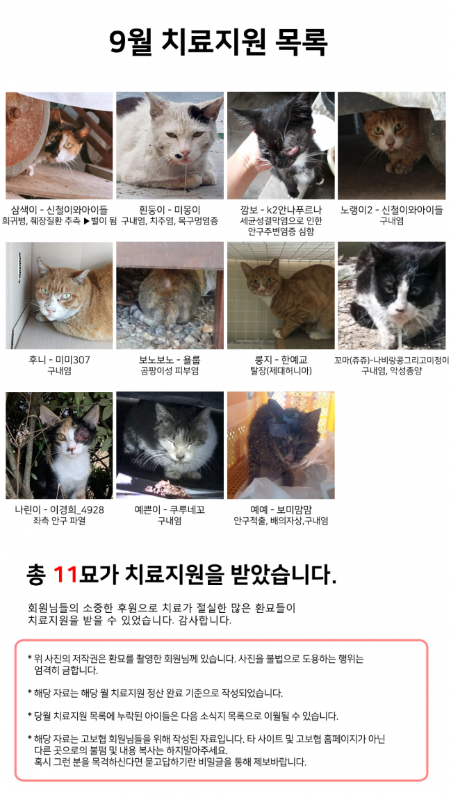 9월 치료지원 목록.jpg