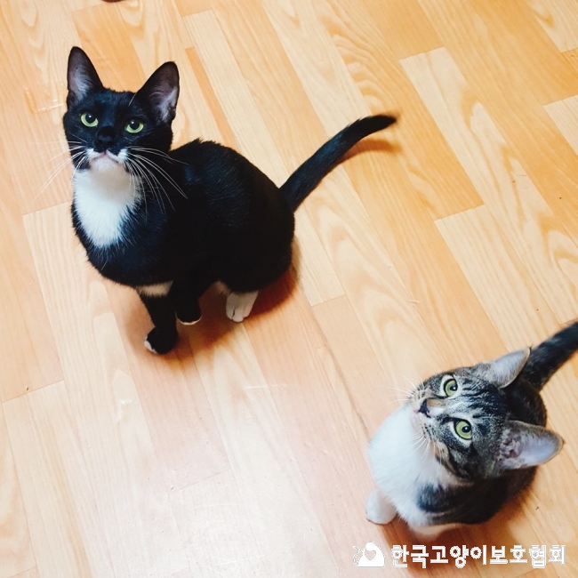 KakaoTalk_20171121_150418425.jpg