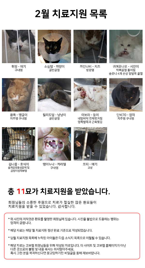 2월 치료지원 목록.jpg