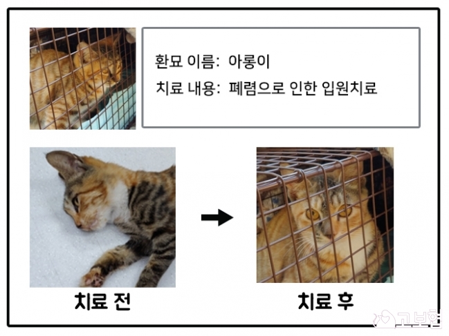 1월치료지원_아롱이.jpg