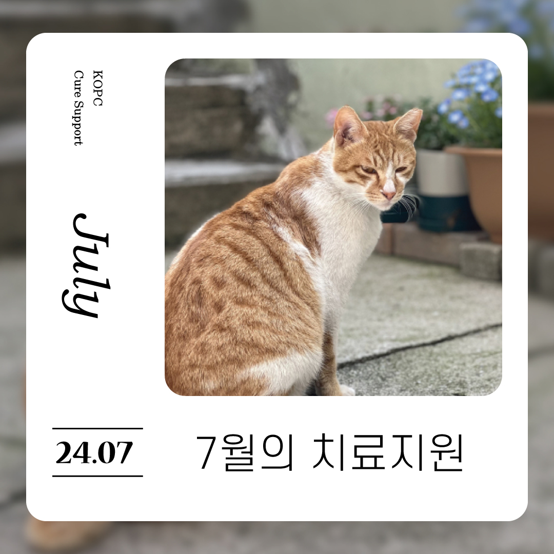 7월-치료지원1.jpg