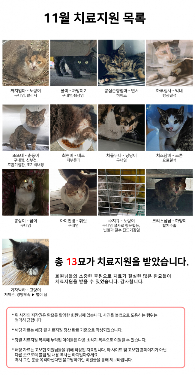 11월 치료지원 목록.jpg