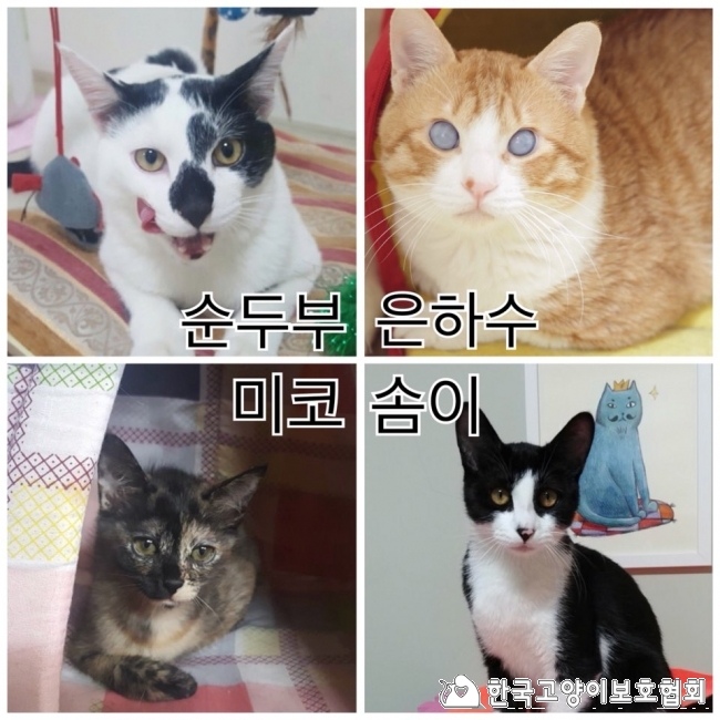 KakaoTalk_20180116_170507864.jpg