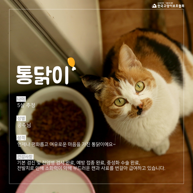 통닭이 (2).jpg