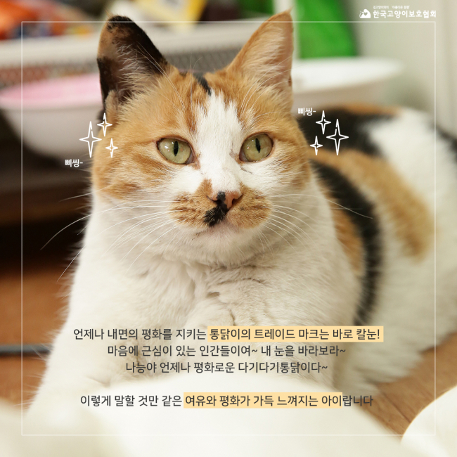 통닭이 (4).jpg