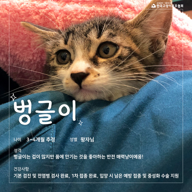 싱글벙글 (6).jpg