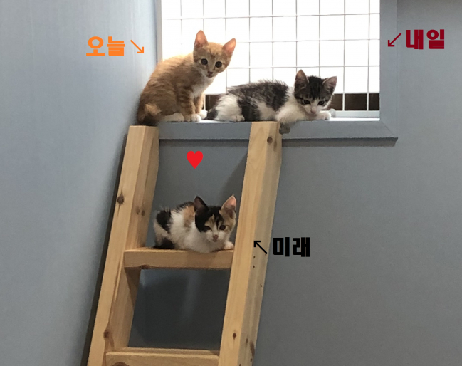 KakaoTalk_20190617_115611648_07 - 복사본.jpg