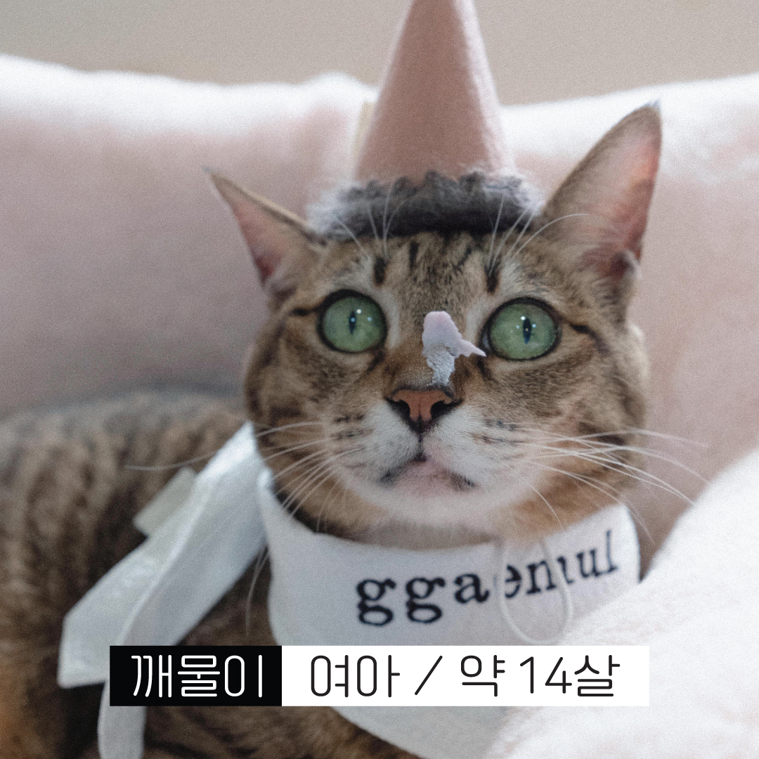 깨물.jpg